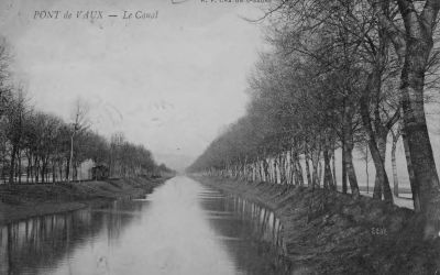 Le canal de Pont-de-Vaux arboré